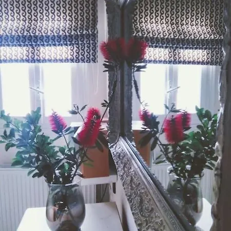 Vasiliki's House Kinitharos